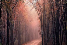 2020年有世界杯足球赛吗？赛程表是怎样的？